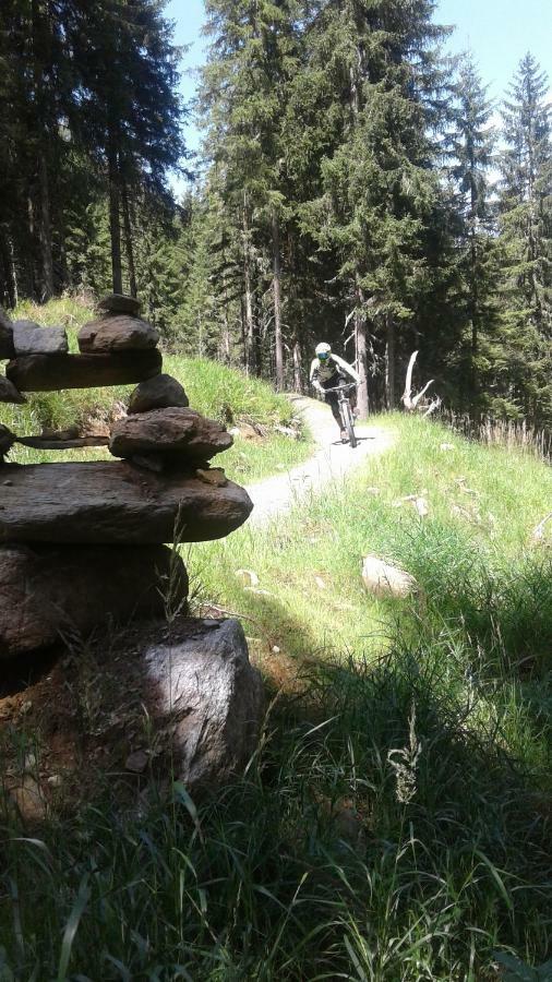 Ferienwohnungen Fryba Bad Kleinkirchheim Esterno foto